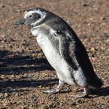 20120314-AJS_8757.jpg